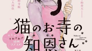 【漫画】【完结】《猫之寺的知恩姐》阿里云&夸克下载