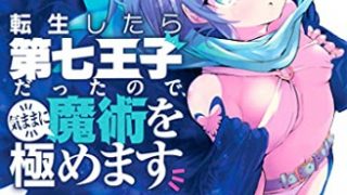 【漫画】【连载中】《转生七王子的魔法全解》移动云下载