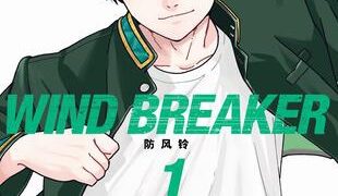 【漫画】【连载中】《WIND BREAKER 防风铃 》移动云下载