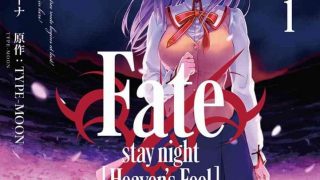 【漫画】《Fate/stay night [Heaven's Feel]》1-9 卷+正传1-20卷 EPUB 多网盘下载