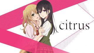 《柑橘味香气 Citrus 》夸克/迅雷下载